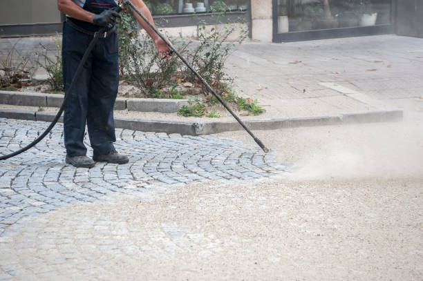 Best Animal Enclosure Cleaning  in Portland, IN